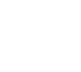 Red Raptor Page Logo